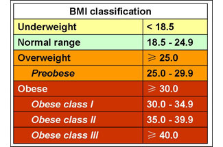 obesity and bmi deconstructed research report hps111